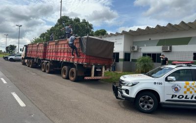 Polícia de SP faz operação e apreende quase 700 quilos de drogas no interior de SP